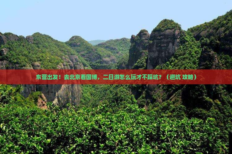 东营到北京中国国家博物馆二日游