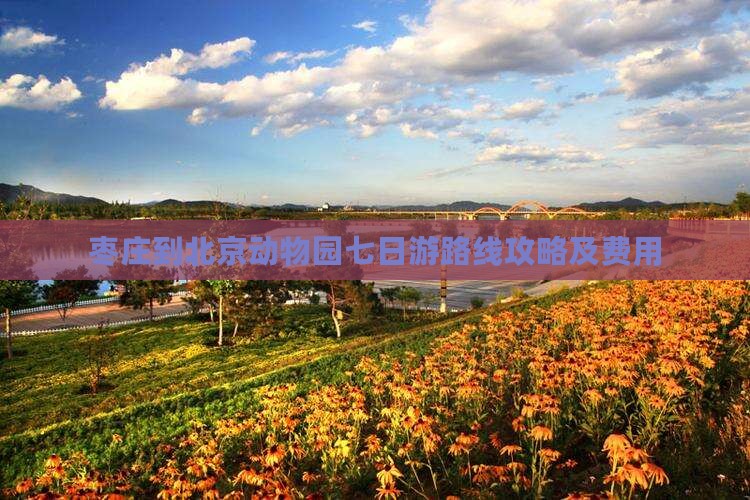 枣庄到北京动物园七日游