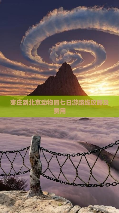 枣庄到北京动物园七日游
