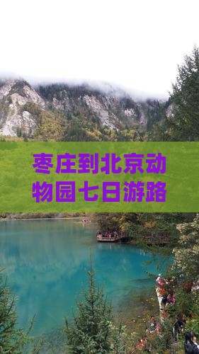 枣庄到北京动物园七日游