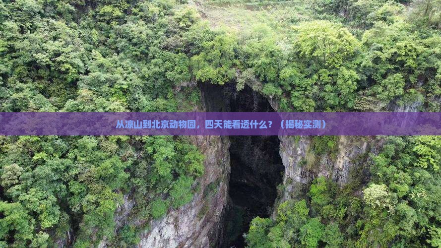 凉山到北京动物园四日游