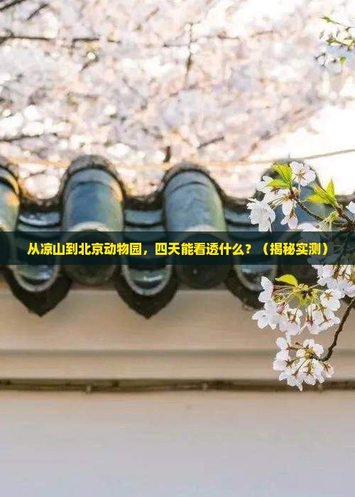 凉山到北京动物园四日游