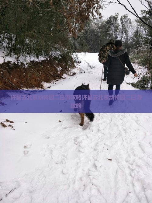 许昌去北京动物园二日游