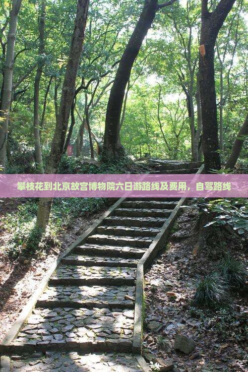 攀枝花到北京故宫博物院六日游