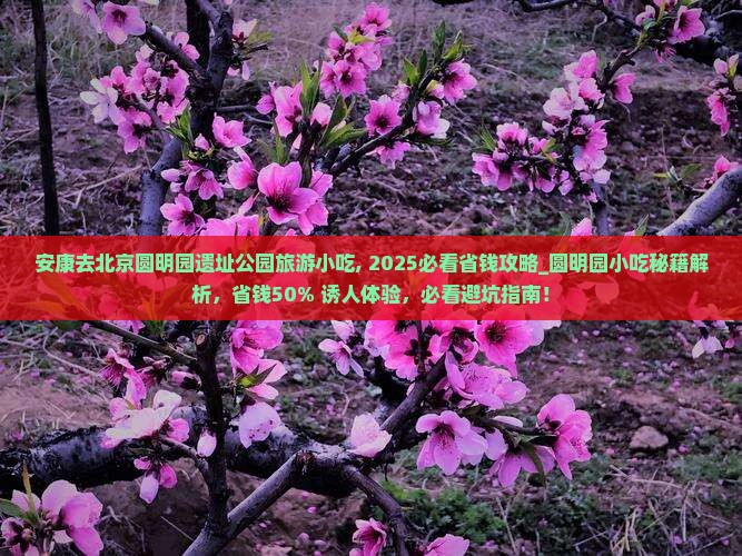 安康去北京圆明园遗址公园旅游小吃