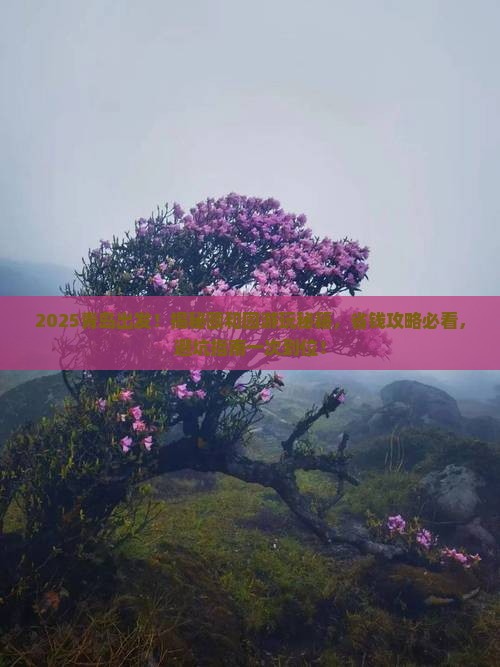 青岛去北京颐和园攻略