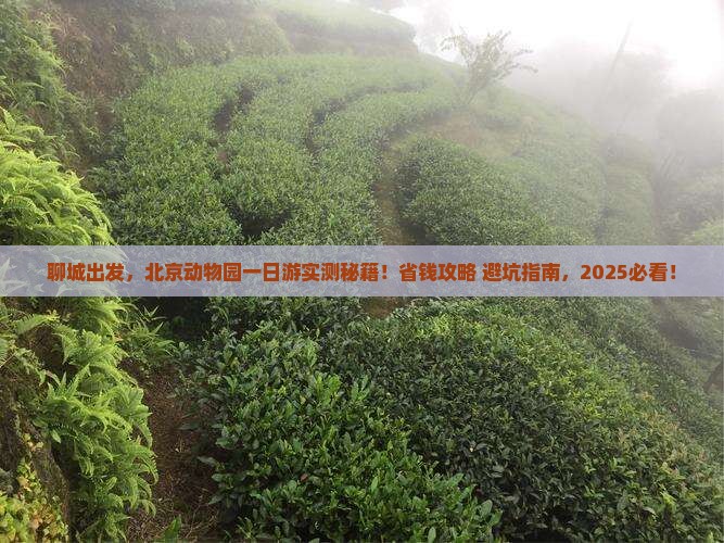 聊城到北京动物园个人游