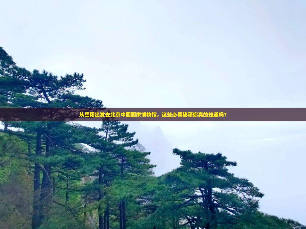 岳阳去北京中国国家博物馆必去地