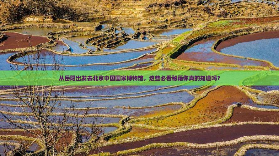 岳阳去北京中国国家博物馆必去地