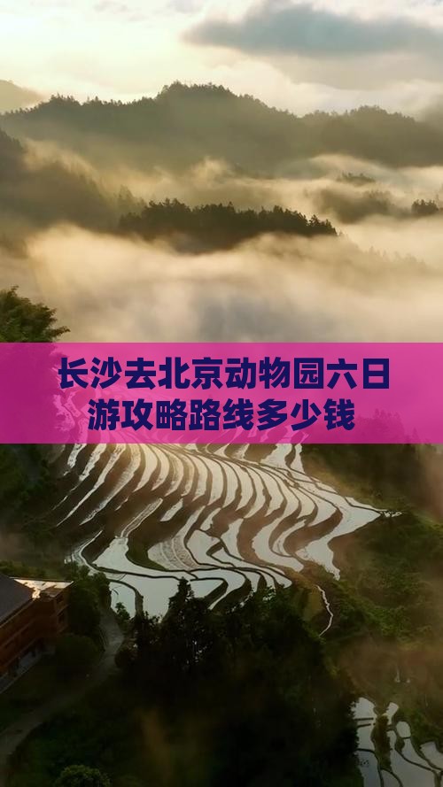 长沙去北京动物园六日游
