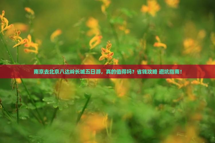 南京去北京八达岭长城五日游