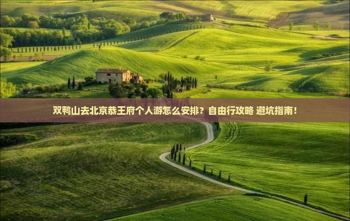 双鸭山去北京恭王府个人游