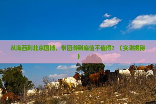 海西到北京中国国家博物馆大型旅游团