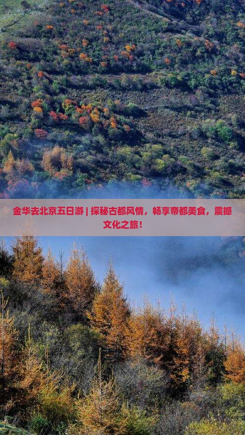金华去北京五日游