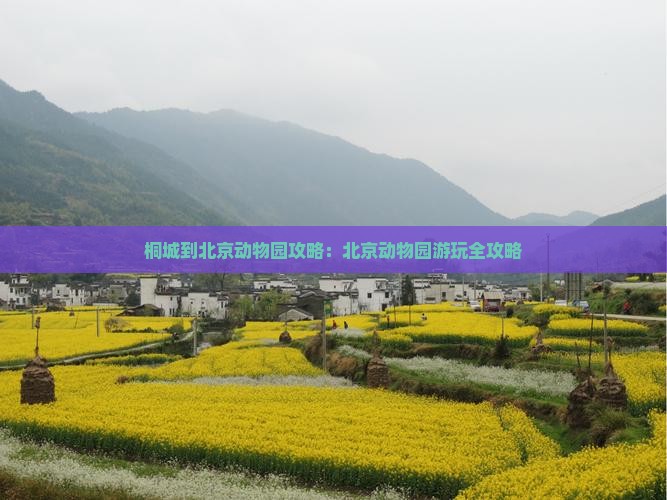 桐城到北京动物园攻略