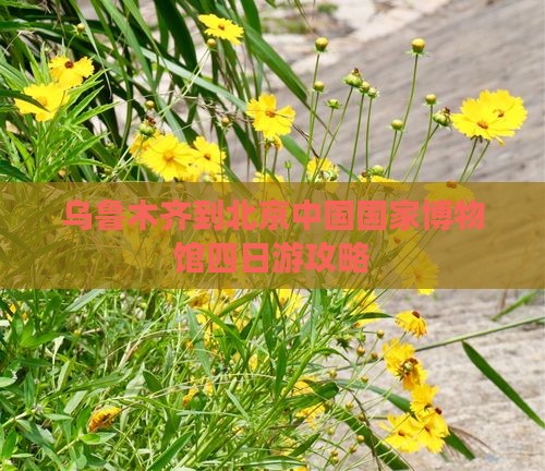 乌鲁木齐到北京中国国家博物馆四日游
