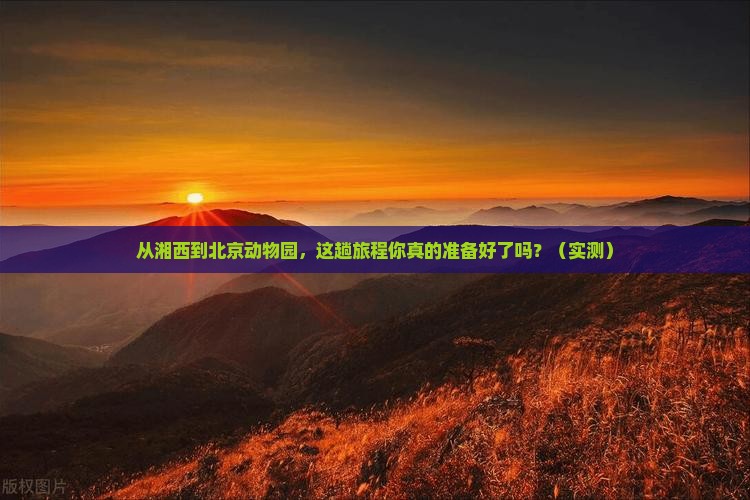 湘西去北京动物园景点
