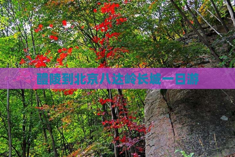 醴陵去北京八达岭长城团体旅游