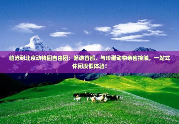 临沧到北京动物园自由团