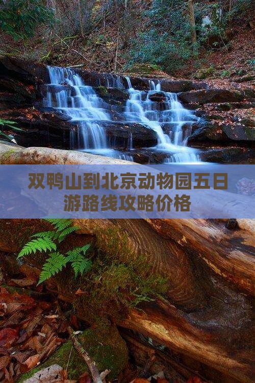 双鸭山到北京动物园五日游