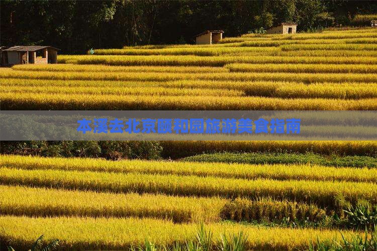 本溪去北京颐和园旅游小吃
