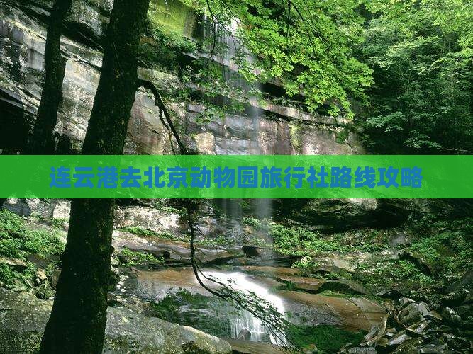连云港去北京动物园旅行社