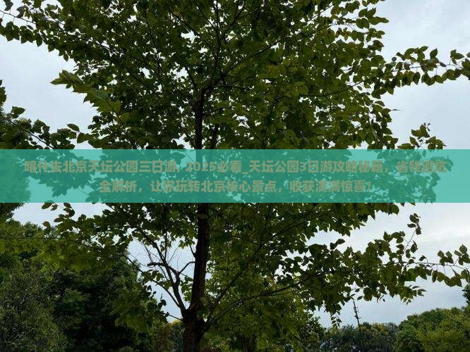 喀什去北京天坛公园三日游