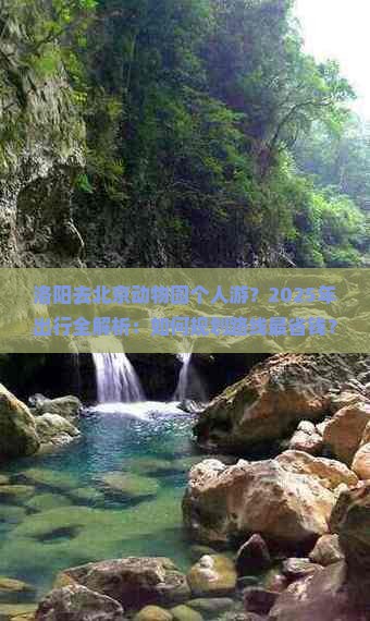 洛阳去北京动物园个人游