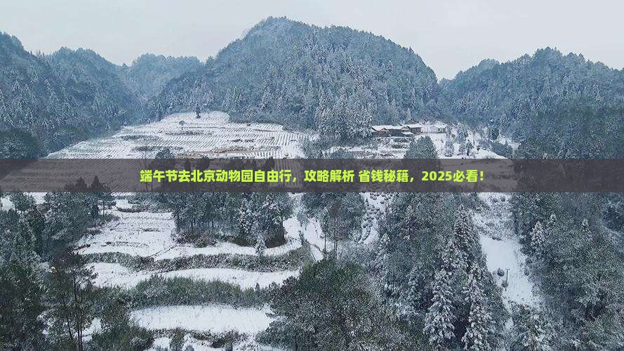 端午节去北京动物园自由行