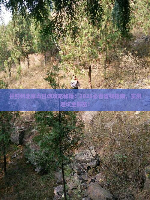 开封到北京五日游