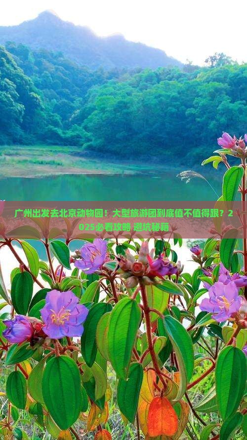 广州去北京动物园大型旅游团