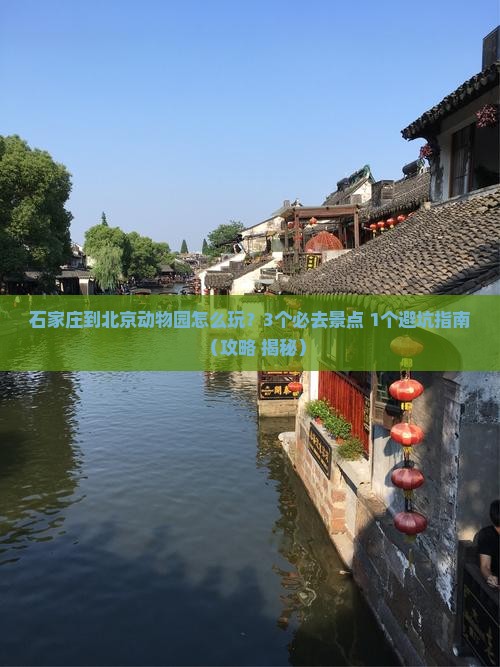 石家庄到北京动物园旅行社
