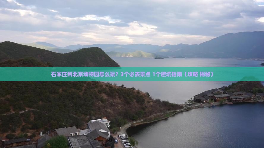 石家庄到北京动物园旅行社