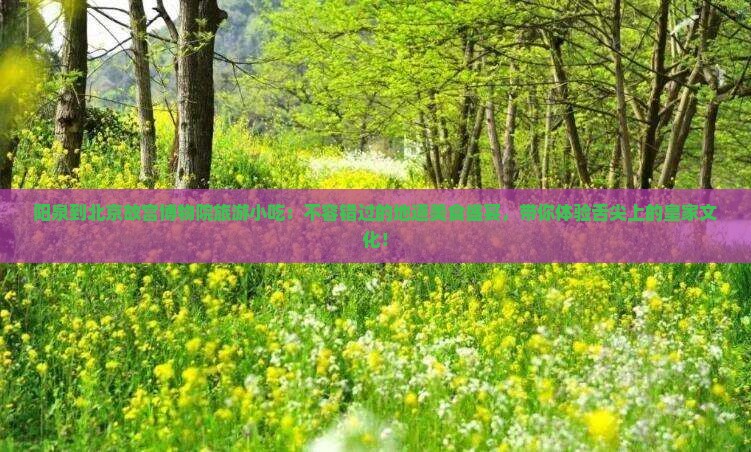 阳泉到北京故宫博物院旅游小吃