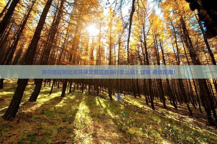 博尔塔拉到北京环球度假区自由行