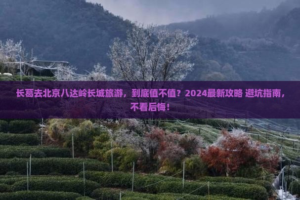 长葛去北京八达岭长城旅游