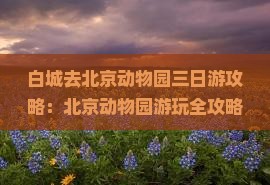 白城去北京动物园三日游