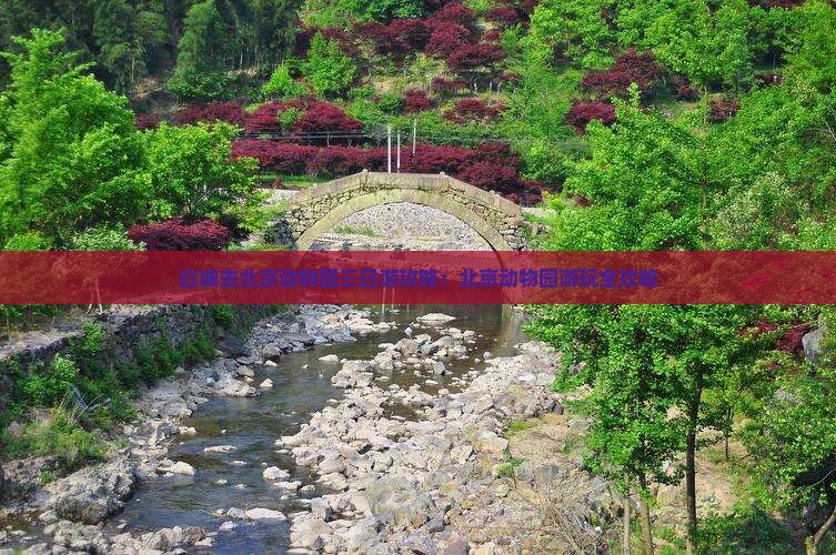 白城去北京动物园三日游