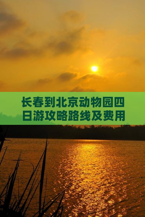 长春到北京动物园四日游
