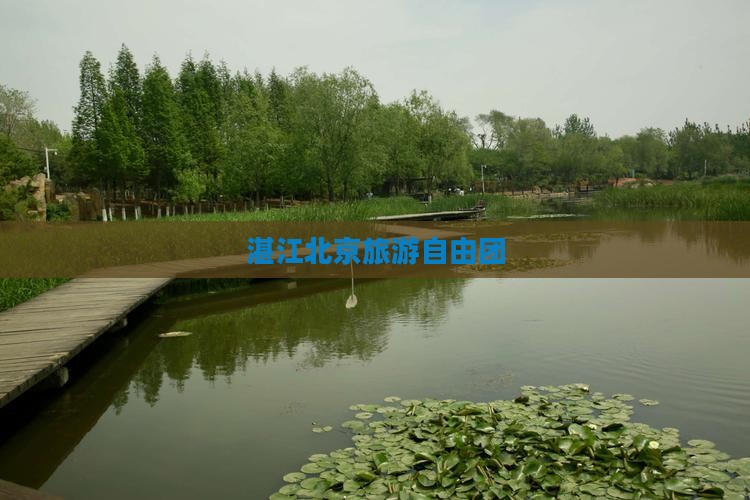 湛江到北京自由团