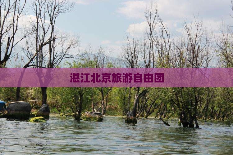 湛江到北京自由团