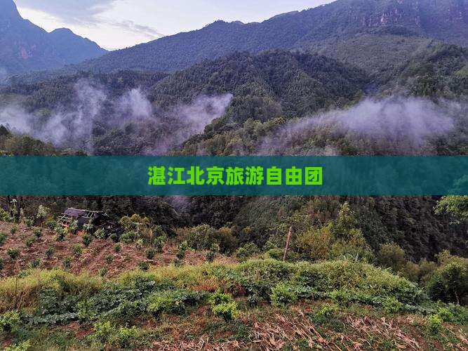湛江到北京自由团