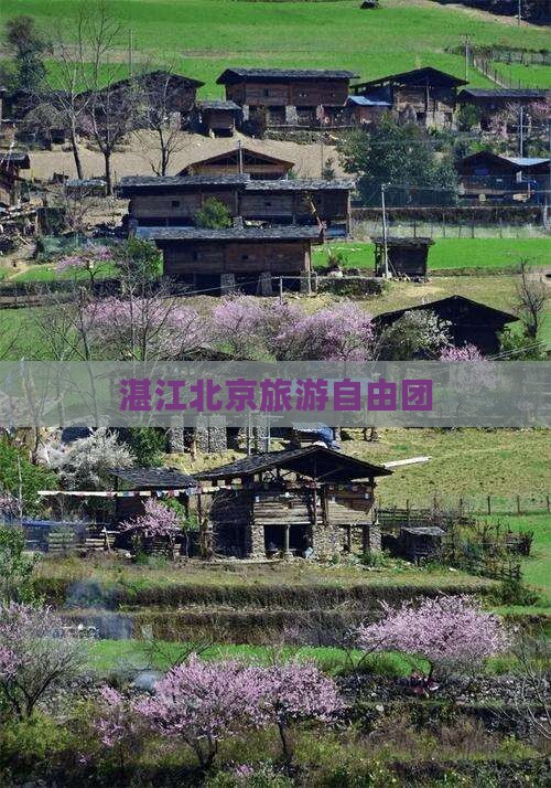 湛江到北京自由团