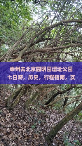 泰州去北京圆明园遗址公园七日游