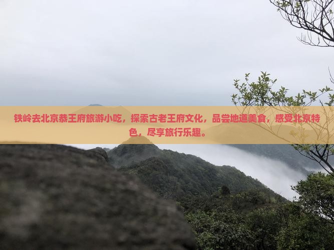 铁岭去北京恭王府旅游小吃