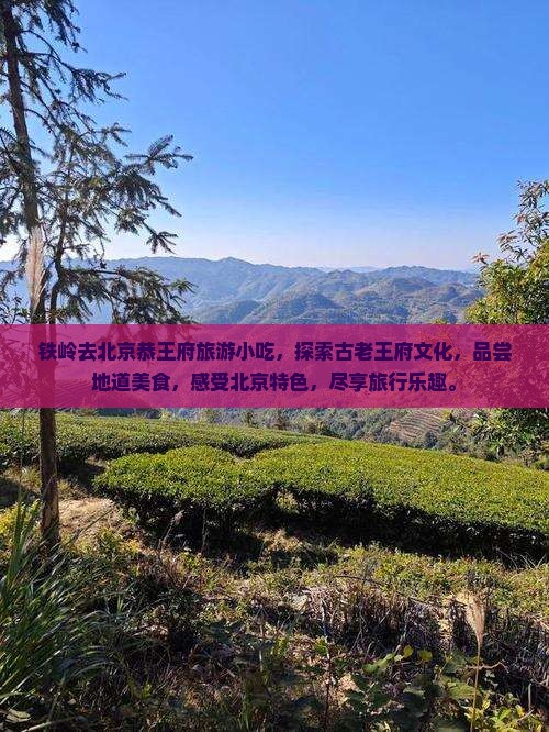 铁岭去北京恭王府旅游小吃