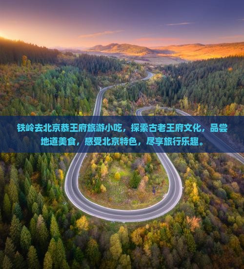 铁岭去北京恭王府旅游小吃