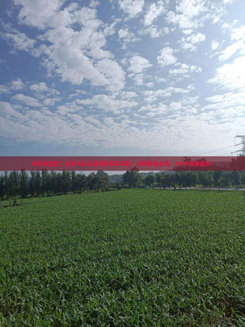 秦皇岛去北京天坛公园景点