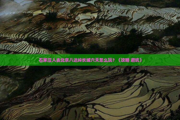 石家庄去北京八达岭长城六日游