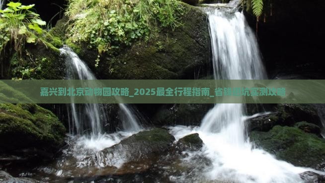 嘉兴到北京动物园攻略